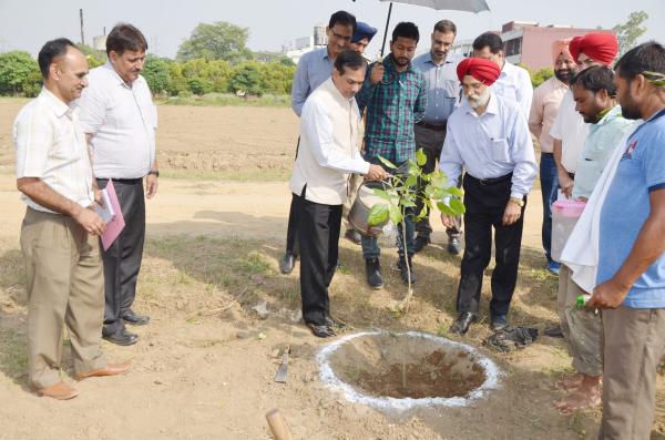 Dr. A. S. Nanda, Vice Chancellor and Dr. Trilochan Mohapatra, DG, ICAR plant the  tree on the visit of University on dated 8-10-2018